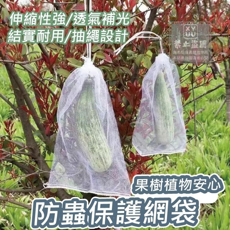 果樹植物安心防蟲保護網袋50入