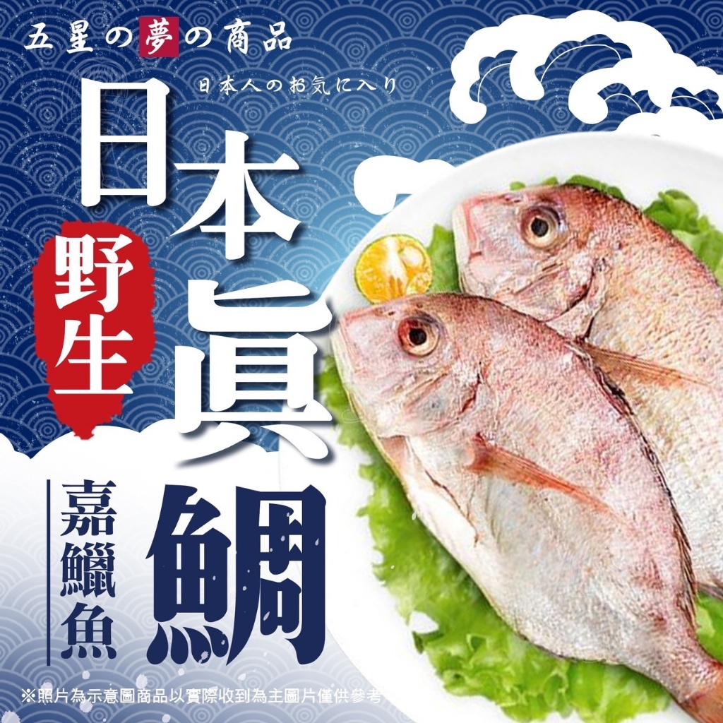 日本野生真鯛魚[嘉鱲魚][600g/包/2-4尾裝]