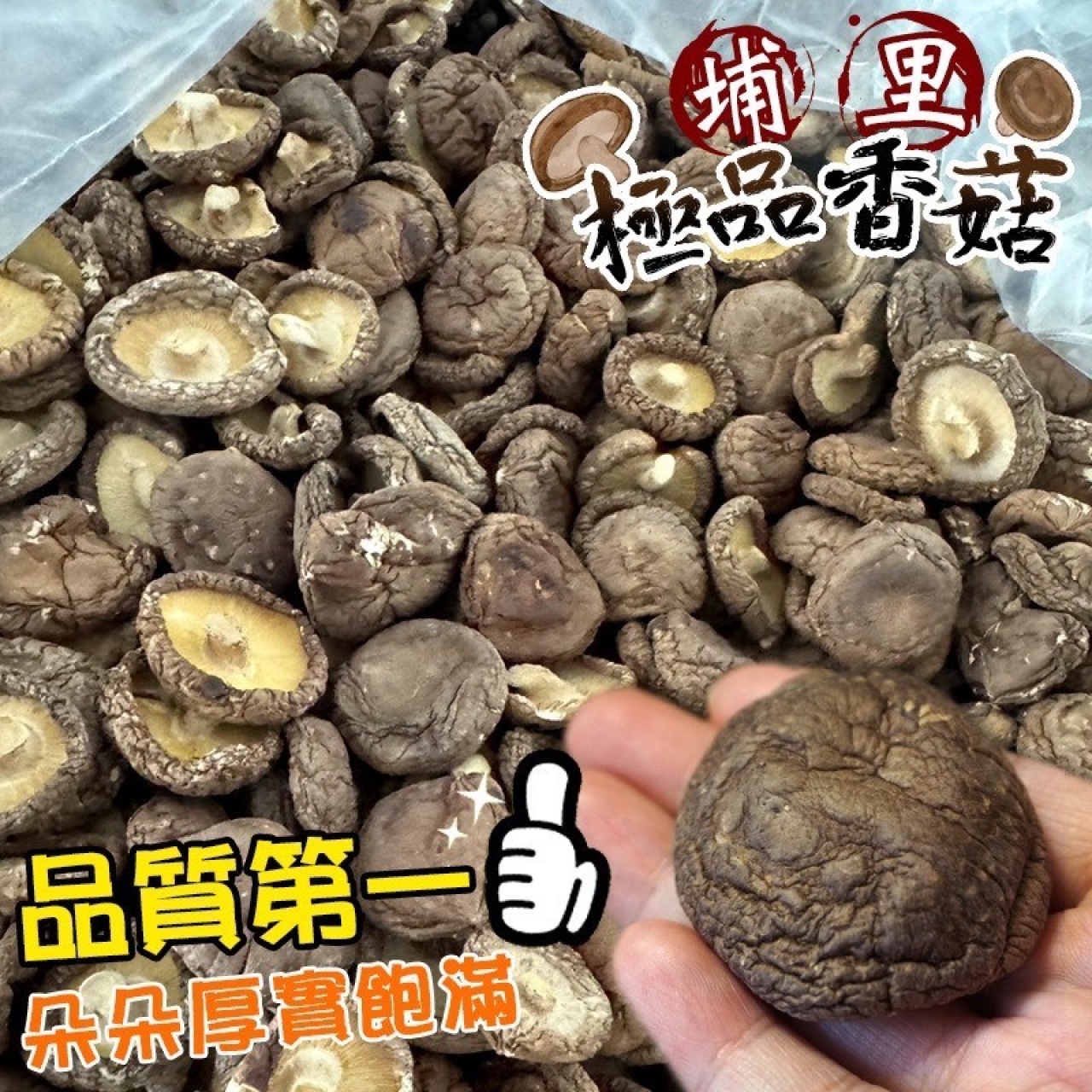 南投埔里 極品冬菇