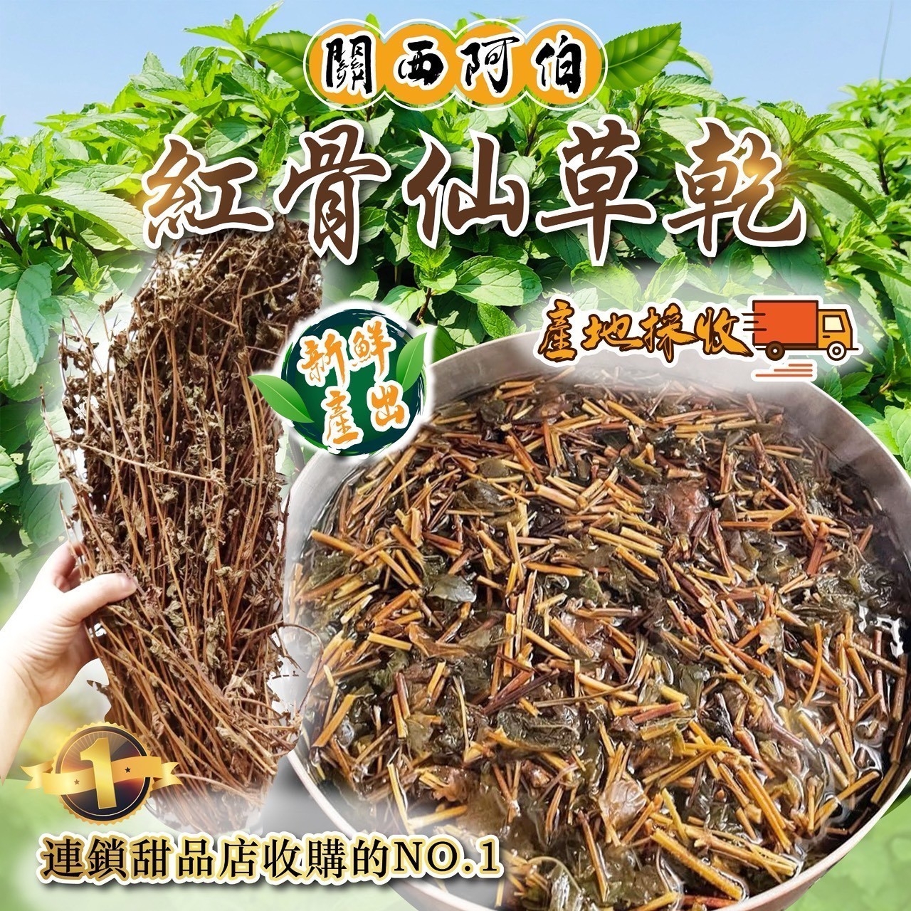 關西阿伯的紅骨仙草乾