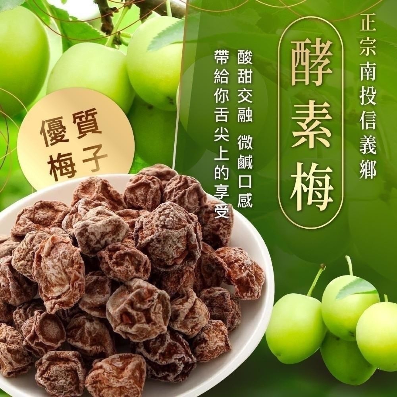 正宗南投信義鄉酵素梅 200g
