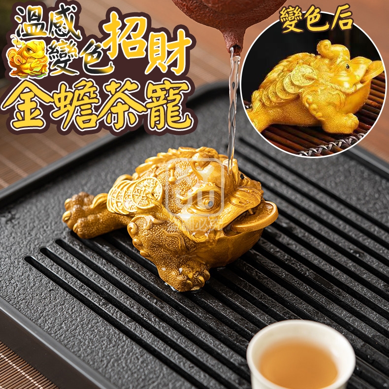 溫感變色招財金蟾茶寵