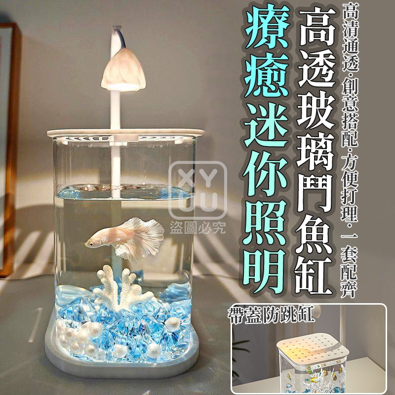 療癒迷你照明高透玻璃鬥魚缸