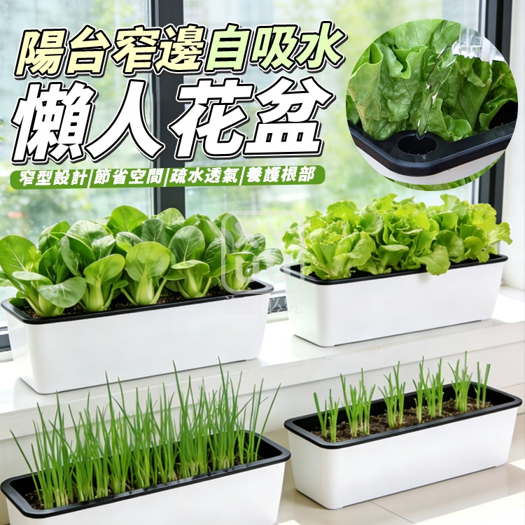 陽台窄邊自吸水懶人花盆