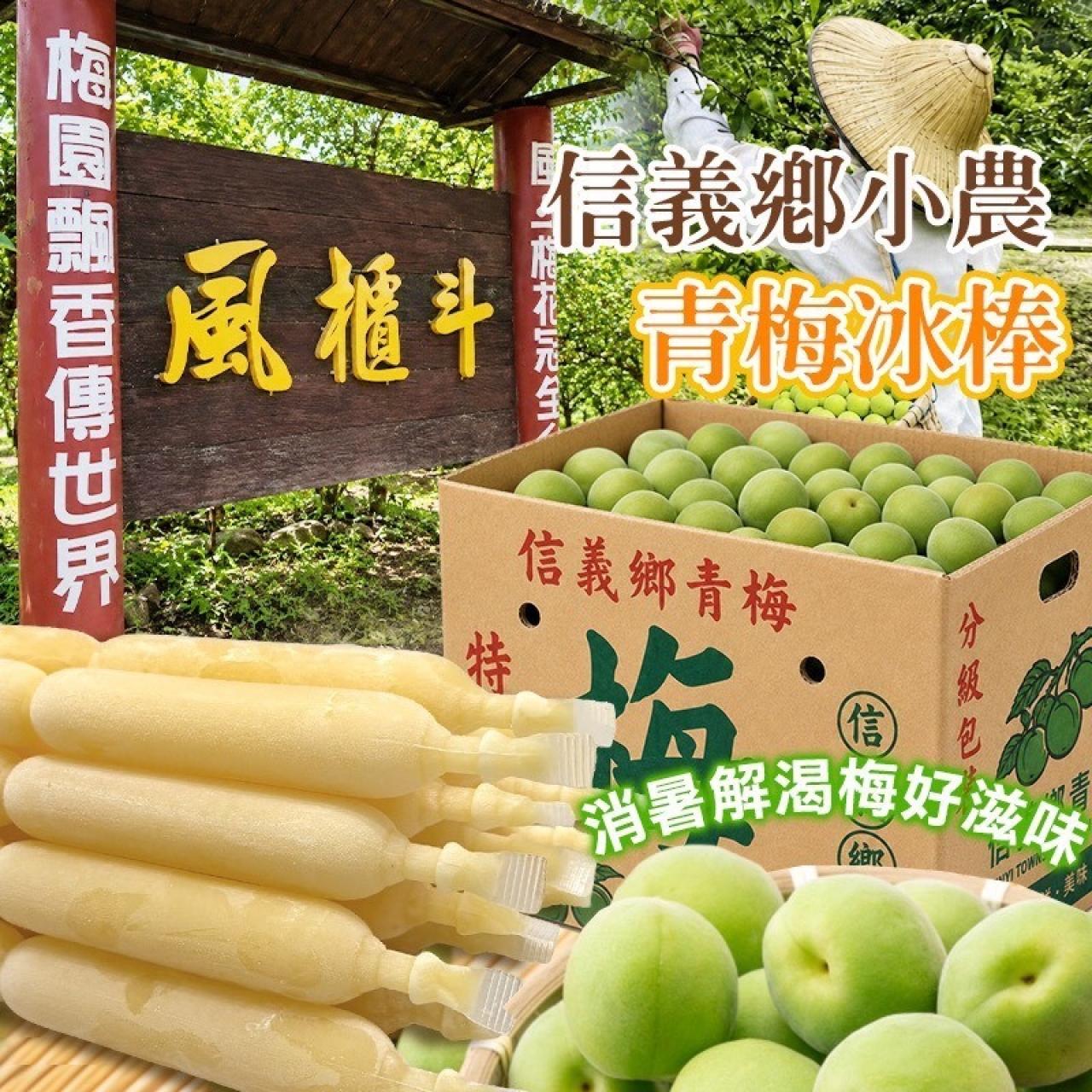 信義鄉風櫃斗 小農青梅冰棒
